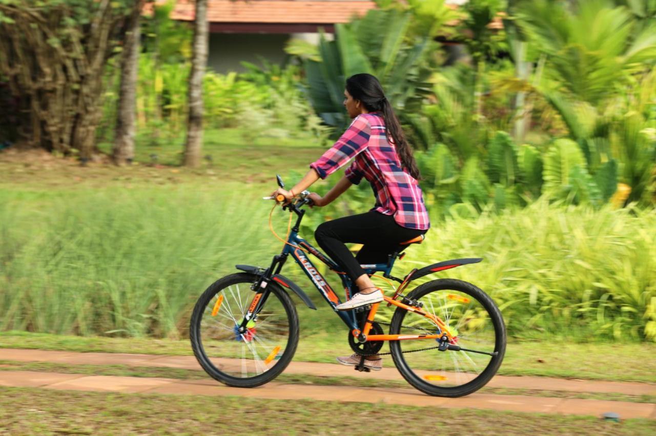 Niraamaya Wellness Retreats Backwaters And Beyond Kumarakom Luaran gambar